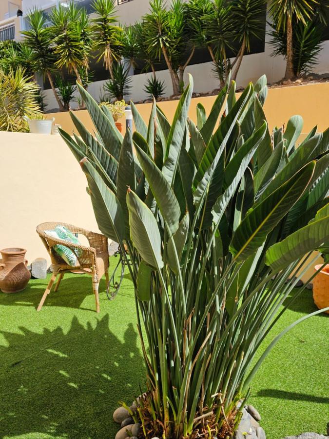 New Holiday Home Beautiful Sea View With Aircon, Costa Adeje Costa Adeje  Exterior foto